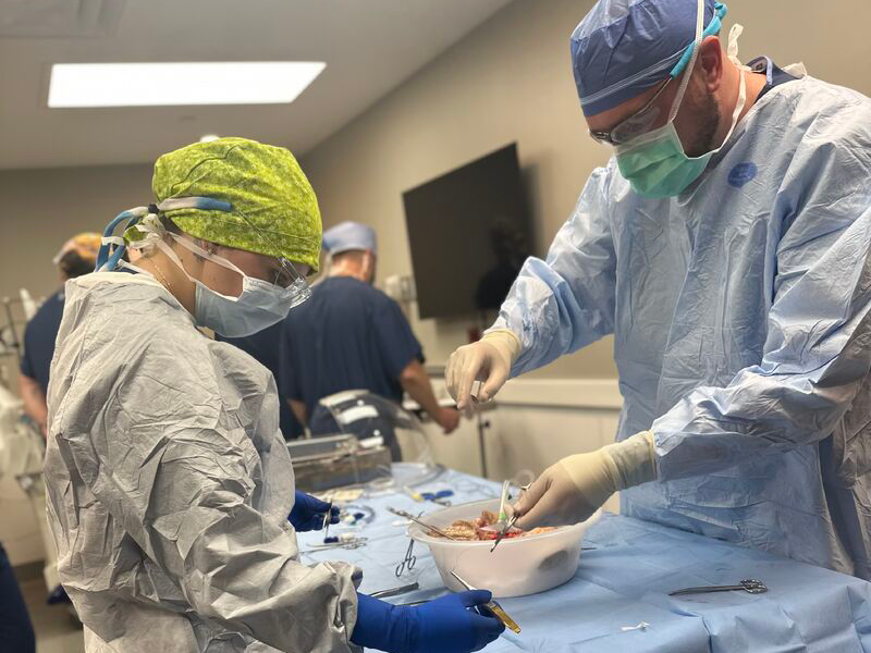 transplant-organ-training-v2